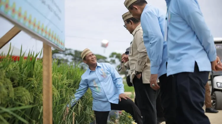 Mentan: Produksi Beras Indonesia Peringkat Keempat Dunia Versi FAO