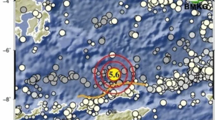 Gempa M5,6 Guncang Alor, BMKG Pastikan Tidak Berpotensi Tsunami