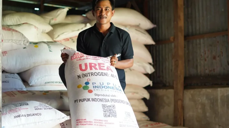 Kementan Pastikan Stok Pupuk Subsidi Aman Dukung Tingkatkan Beras Nasional