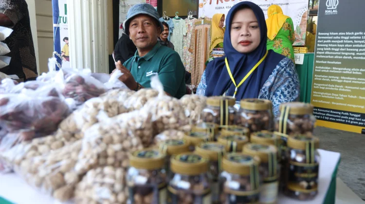 Menko Pangan: Ketahanan Pangan Dimulai dari Keluarga