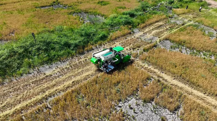 Cetak Sawah Rakyat Perkuat Kesejahteraan Petani Papua