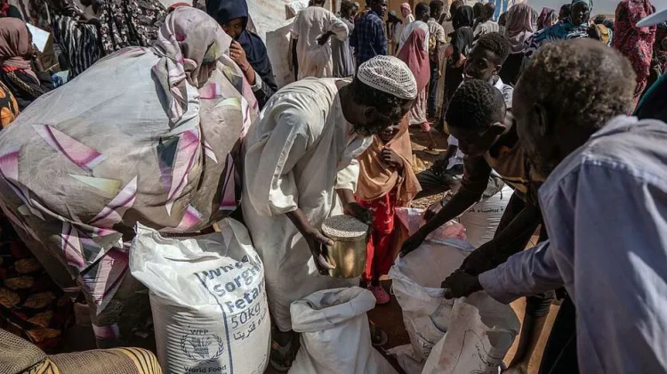Utusan PBB Peringatkan Meningkatnya Risiko Pertempuran di El Obeid Sudan