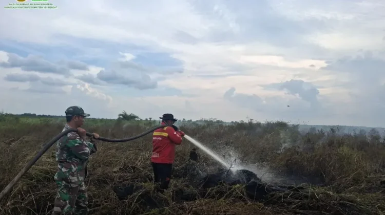 Manggala Agni Masih Tangani Dua Titik Karhutla di Riau