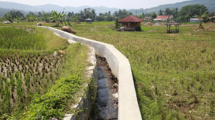 PU Perkuat Jaringan Irigasi Bogor Dukung Swasembada Pangan Nasional