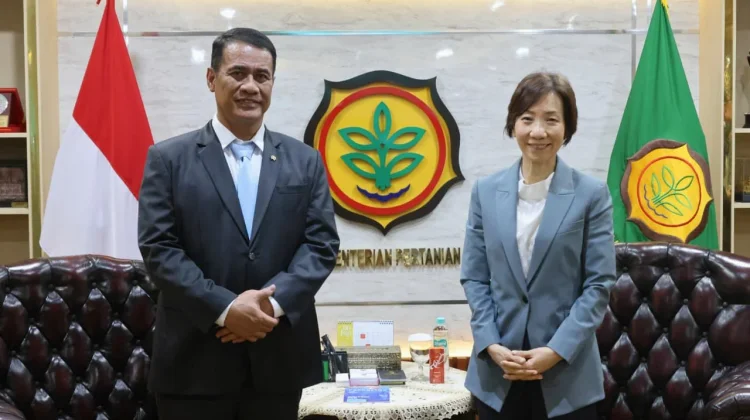 Indonesia Tawarkan Ekspor Beras ke Singapura