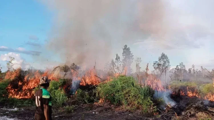 El Niño 2026 Status Kuat, BMKG Waspadai Wilayah Jawa hingga Papua Selatan