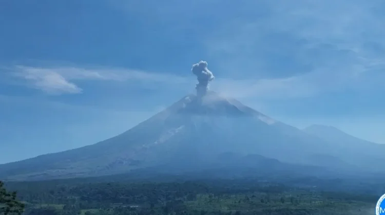 Gunung Semeru Erupsi, Kolom Abu Capai 900 Meter