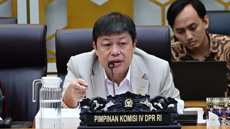 DPR Dorong Pencegahan Dini untuk Tangani Masalah Kebakaran Hutan dan Lahan