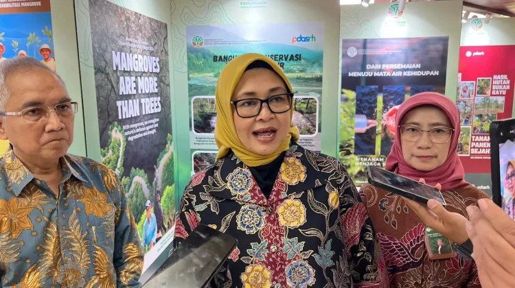 Kemenhut Ungkap 4.400 DAS Bermasalah, 250 Jadi Prioritas Pemulihan