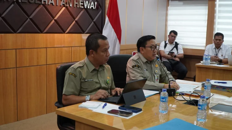 Kementan Gandeng Satgas Pangan Kawal Harga Ayam Peternak