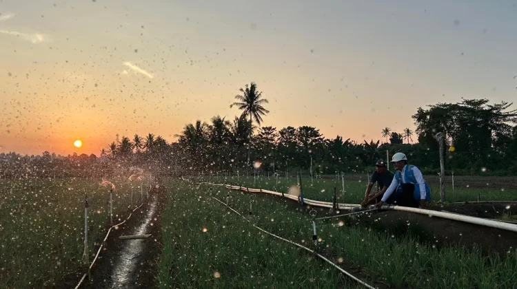 Tarif Listrik Triwulan III 2026 Dipastikan Tetap