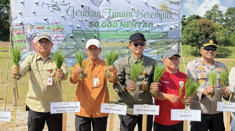 Kementan Gaspol Tingkatkan Produksi Pangan