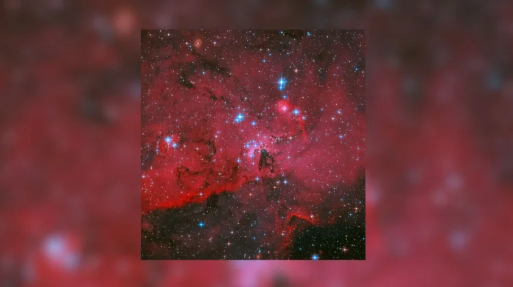 Hubble Abadikan Ribuan Bintang Muda Berkilau di Awan Gas Merah LH 95