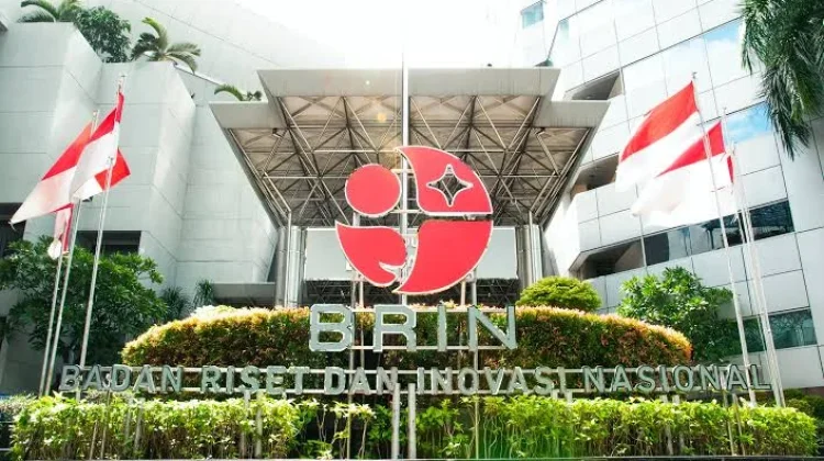 BRIN Ingatkan Pentingnya Konservasi Usai Temukan Katak Baru di Merapi