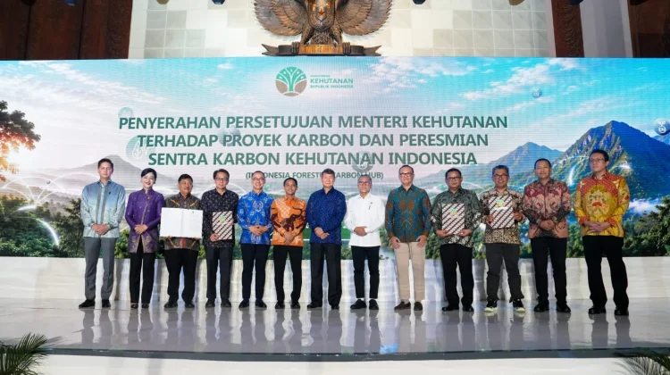 Karbon Hutan Mulai Diperdagangkan, Pemerintah Bidik Transaksi Rp5 Triliun