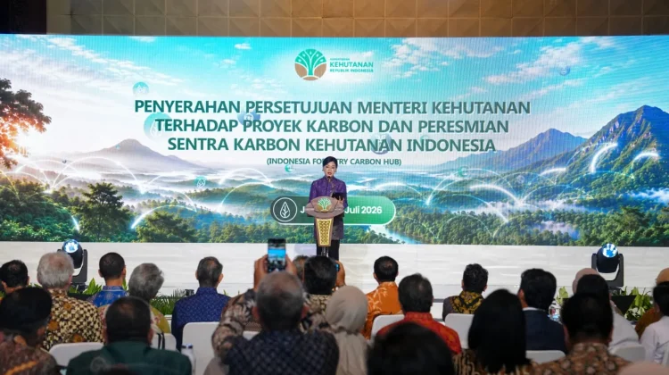 OJK Siapkan Skema Pembiayaan Investasi Karbon Kehutanan