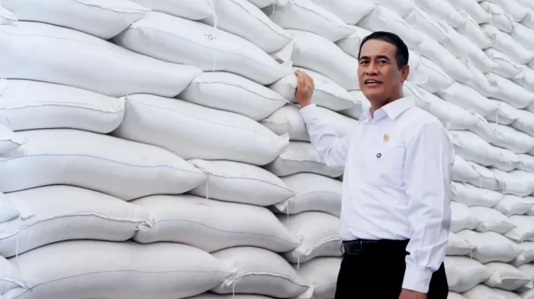 Stok Cadangan Beras Pemerintah Tembus 5,19 Juta Ton