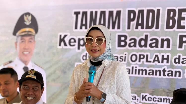 Kementan Percepat Tanam 4.000 Hektare di Hulu Sungai Selatan