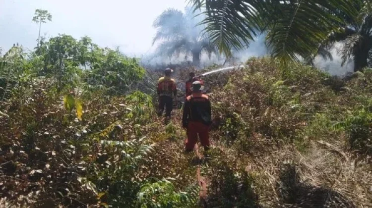 Karhutla Marak di Kotawaringin Barat, Delapan Hektare Lahan Hangus