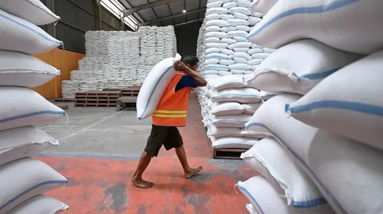 Pemerintah Pastikan Stok Pangan Nasional Aman Hadapi Musim Kemarau