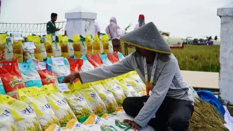 Tekan Harga Beras Premium, Bulog Siapkan Beras SPHP 'Beras Kita'