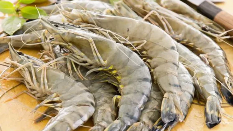 DPR Apresiasi Udang Kebumen Tembus Pasar AS