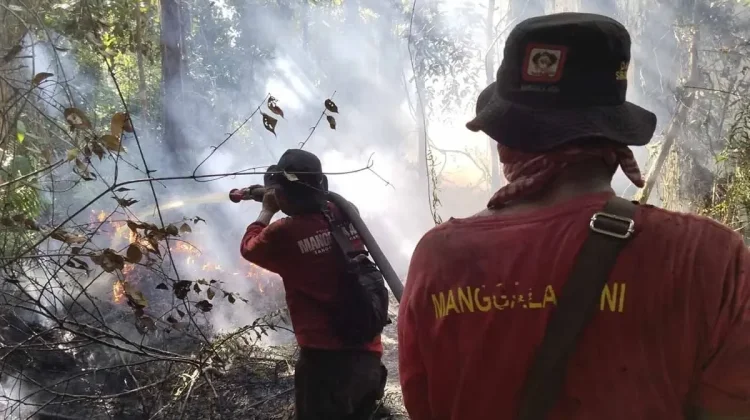 Manggala Agni Padamkan 10,5 Hektare Karhutla Aceh Selatan