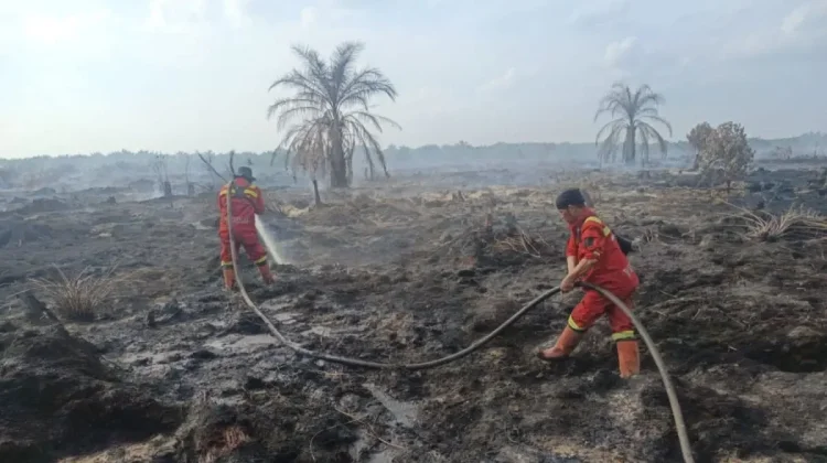 Manggala Agni Padamkan Karhutla di Rokan Hilir