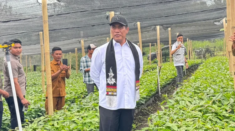 Mentan Bidik Ekspor Kopi Indonesia Tembus Rp100 Triliun