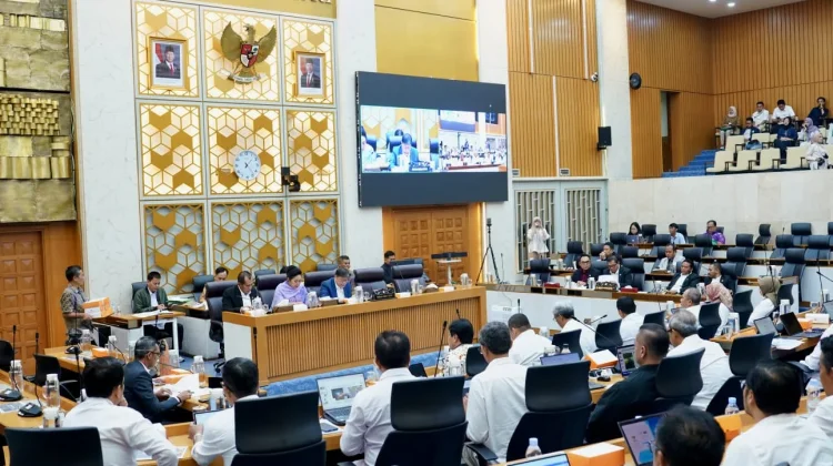 Kemenhut Perkuat Penanganan Karhutla dan Tata Kelola Karbon bersama DPR