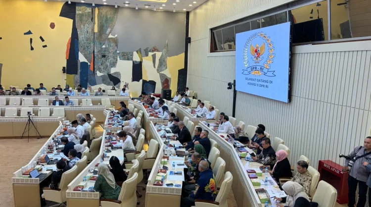 BKN Komitmen Perkuat Sistem Merit lewat Reformasi Manajemen ASN