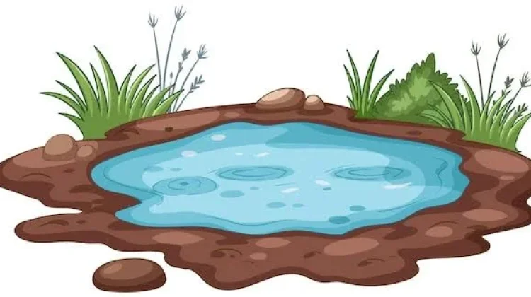 Butuh Konsultan Izin SIPA dan AMDAL Terpercaya? Simak Rekomendasi dan Tipsnya