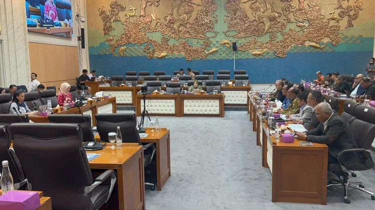 DPR Dorong LPP Perbanyak Konten Positif di Tengah Maraknya Hoaks