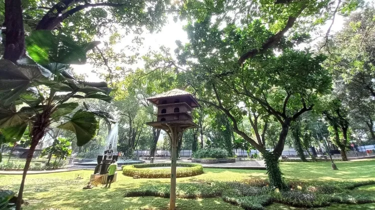 Ketahui Lima Taman Kota di Jakarta yang Cocok untuk Healing