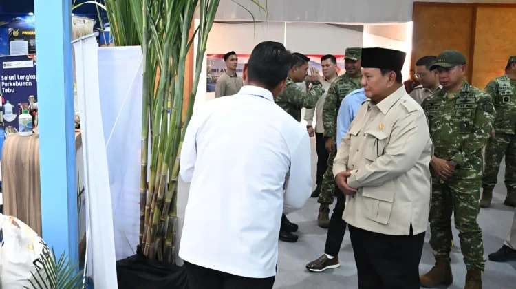Presiden Prabowo Akan Meremajakan Perkebunan Tebu dalam 2 Tahun Mendatang
