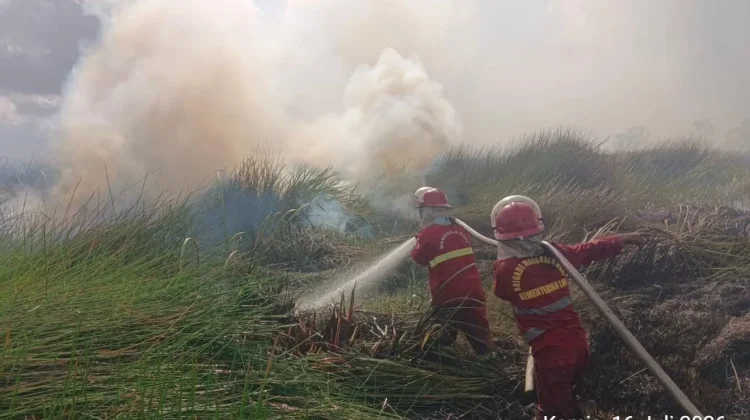 Kemenhut Perketat Pengawasan Karhutla, Pelaku Pembakaran Diancam Sanksi Pidana