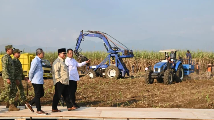 Apresiasi Petani, Presiden Prabowo Ajak Masyarakat Pahami Proses Budidaya Padi