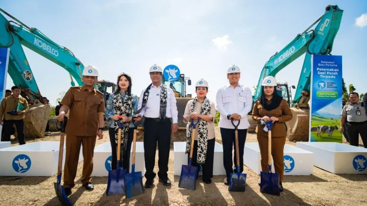 Mentan: Produksi Susu Lokal Diprioritaskan
