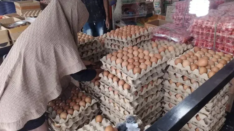 Bapanas Pastikan Harga Telur dan Ayam Broiler Mulai Pulih