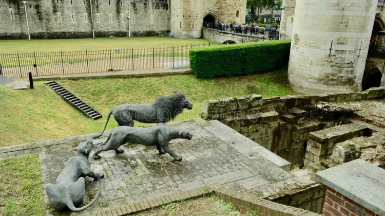 Tower Menagerie, Cikal Bakal Kebun Binatang Modern di Inggris