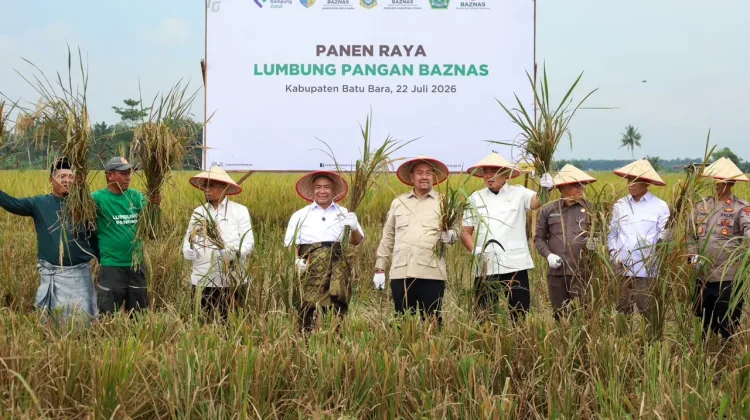 BAZNAS Bersama Petani Binaan Sukses Panen Raya 150 Ton Padi di Batu Bara