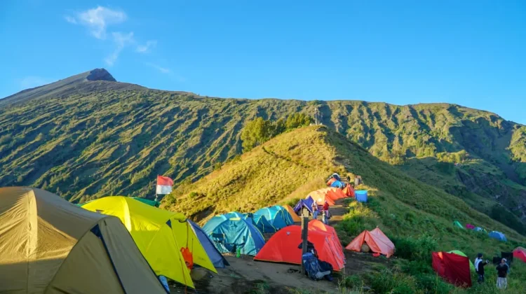 Tiga Taman Nasional Ikonik Kini Bisa Kelola Pendapatan Sendiri