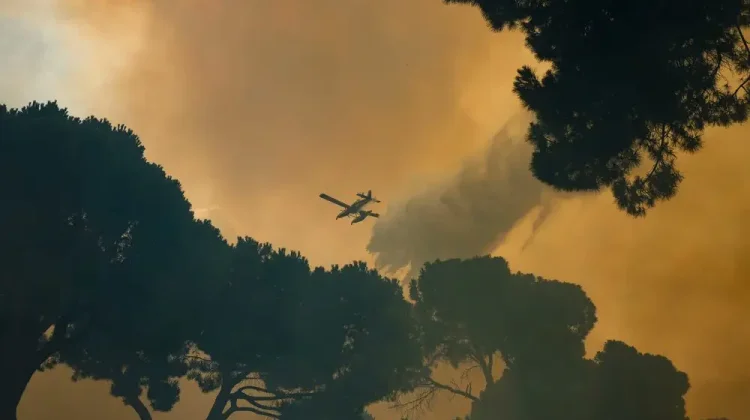 Kebakaran Hutan di Prancis dan Spanyol Paksa Ratusan Ribu Warga Mengungsi
