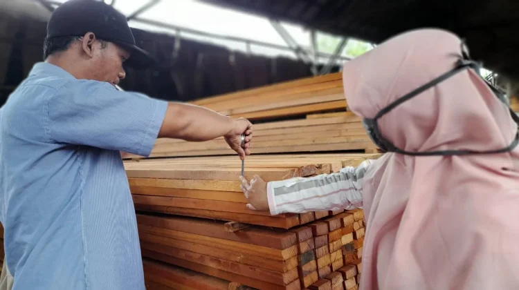 Kemenhut Rombak Aturan Pengolahan Kayu, tanpa Korbankan Kelestarian Hutan
