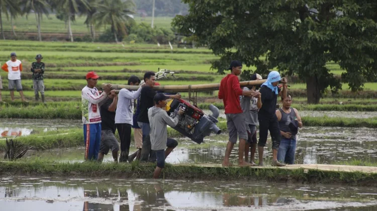 Kementan Siapkan 56 Ribu Pompa Air Mitigasi Kekeringan