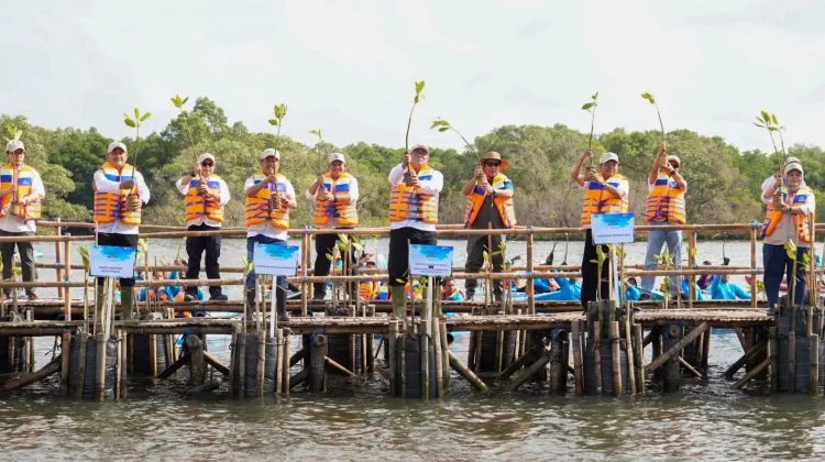 KLH Perkuat Sinergi Lintas Kementerian, Lindungi Ekosistem Mangrove