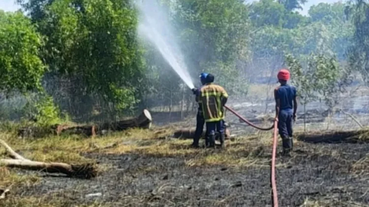 Karhutla Seluas Tiga Hektare Terjadi di Bangka Tengah