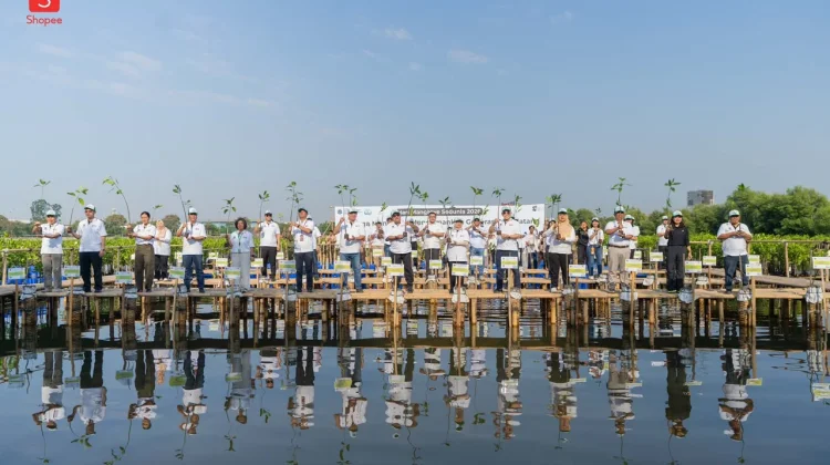 Pemprov DKI dan Shopee Tanam 2.000 Mangrove di Jakarta Utara