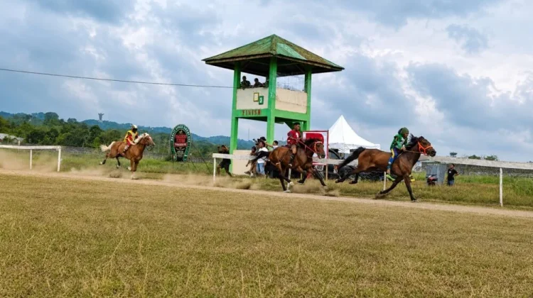 Sumba Bidik Panggung Dunia lewat Sport Tourism Pacu Kuda