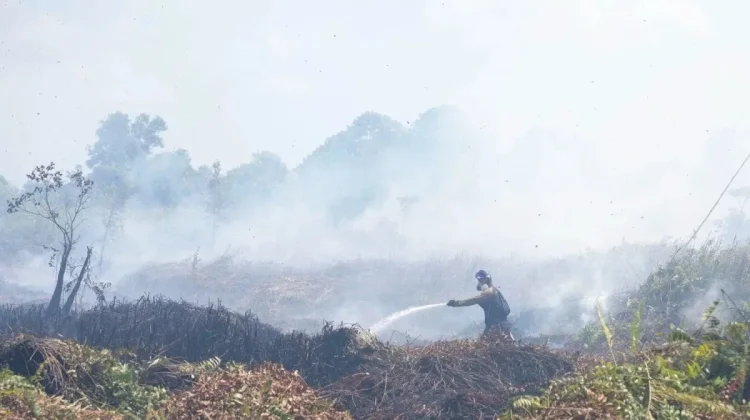 BPBD Kalbar Perpanjang Status Siaga Darurat Asap hingga 15 November